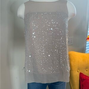 Ann Taylor Beige Sequin Blouse
